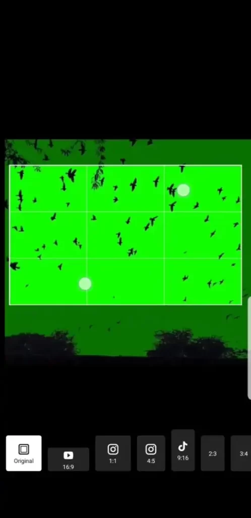 Chroma Key [Green Screen Effect] in VN Video Editor 