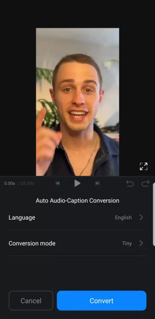 VN Video Editor Subtitle (Auto Caption)